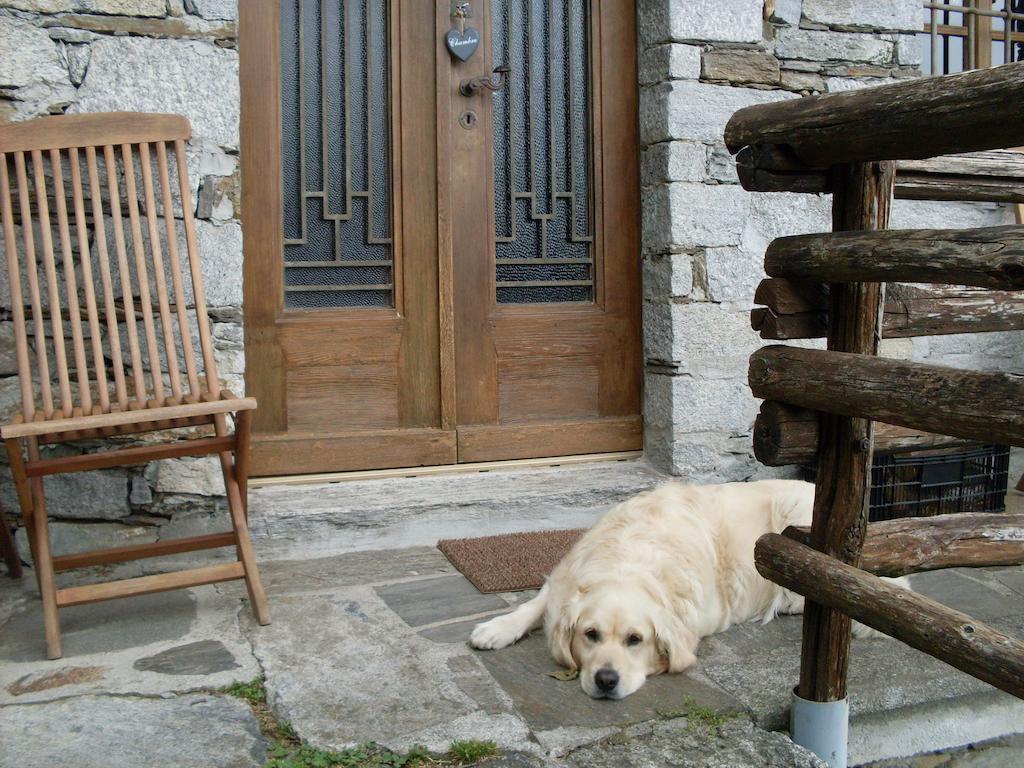 Agriturismo Da Attilio Cannobio Zimmer foto
